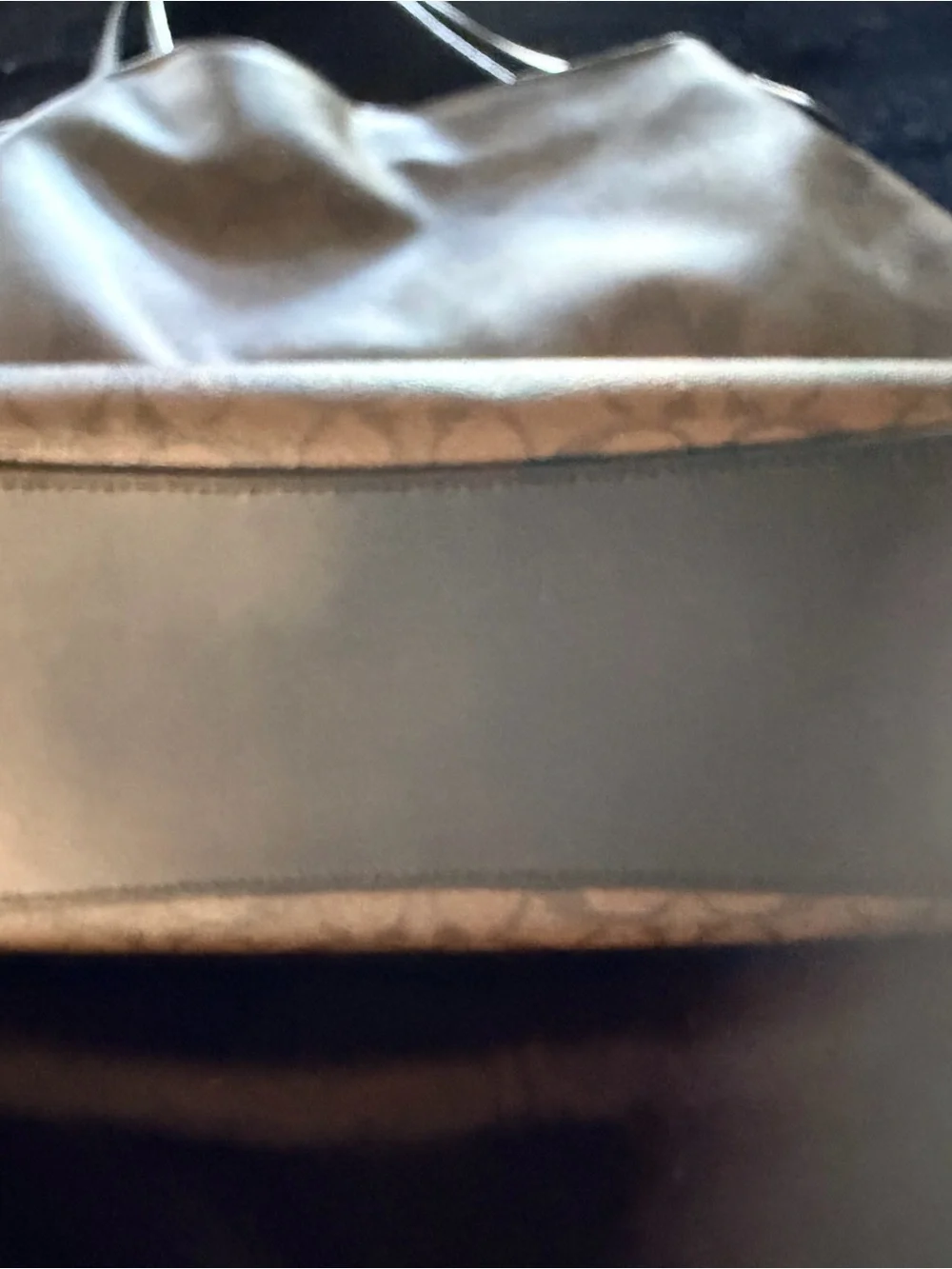 Coach Signature Hobo Bag